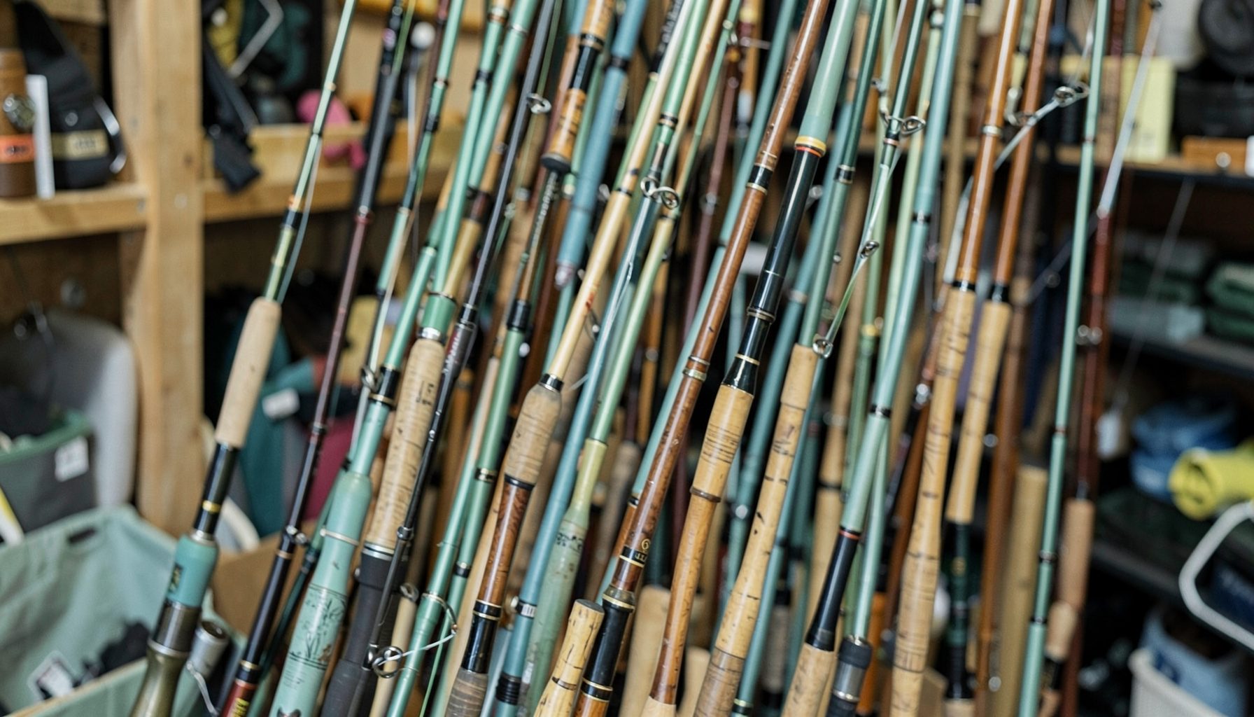 Dense cluster of many fishing rods with cork handles standing upright in a storage area, green and tan hues